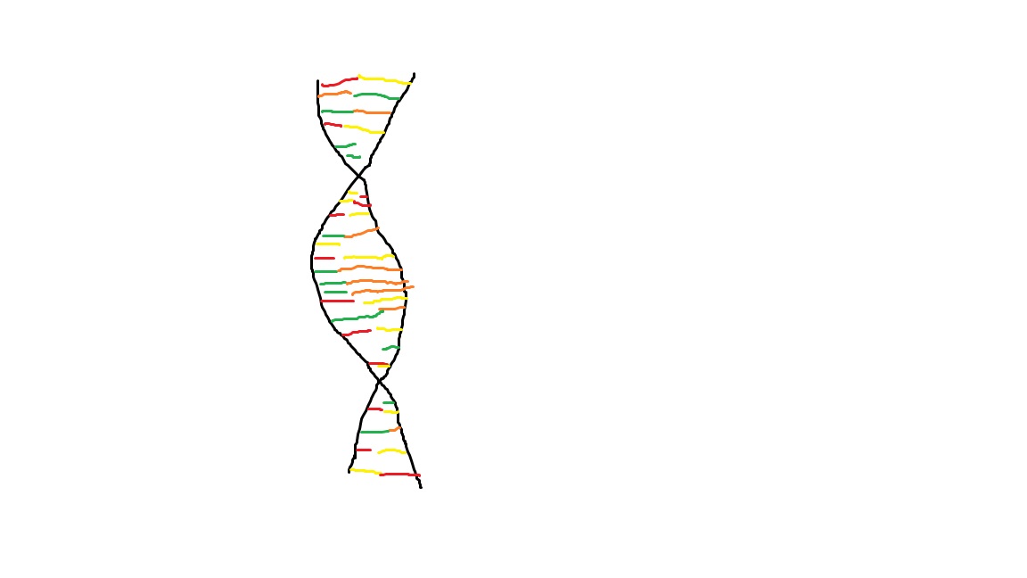 1152x648 Filepaint Dna Drawing - Dna Drawing