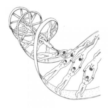 350x350 about dna science and art - Dna Drawing
