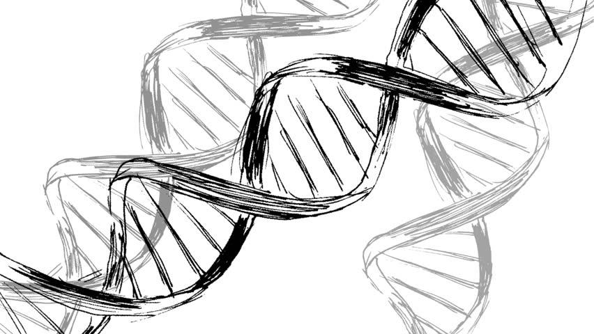 852x480 animation drawing of dna with stock footage video - Dna Drawing