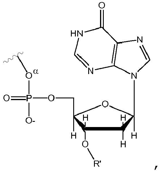 555x591 dna molecule labeled awesome dna sequencing with non - Dna Drawing Labeled