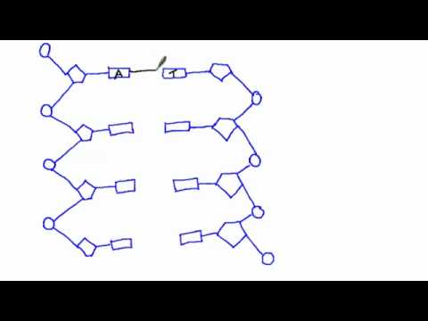 480x360 Draw A Simple Diagram Of Dna Structure - Dna Drawing Labeled