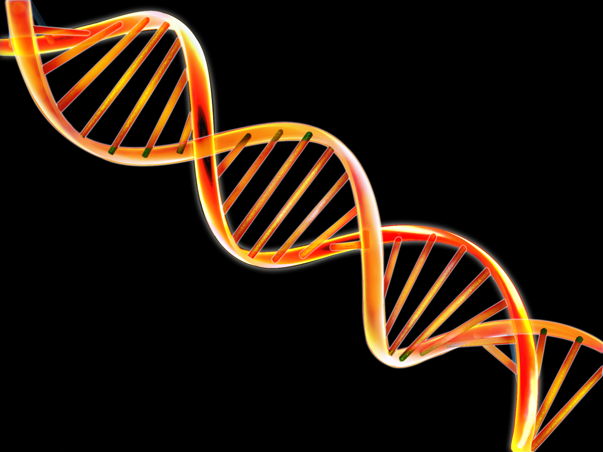 2048x1536 Dna Double Helix Wallpaper Px, Starkovtattoo Drawing - Dna Helix Drawing