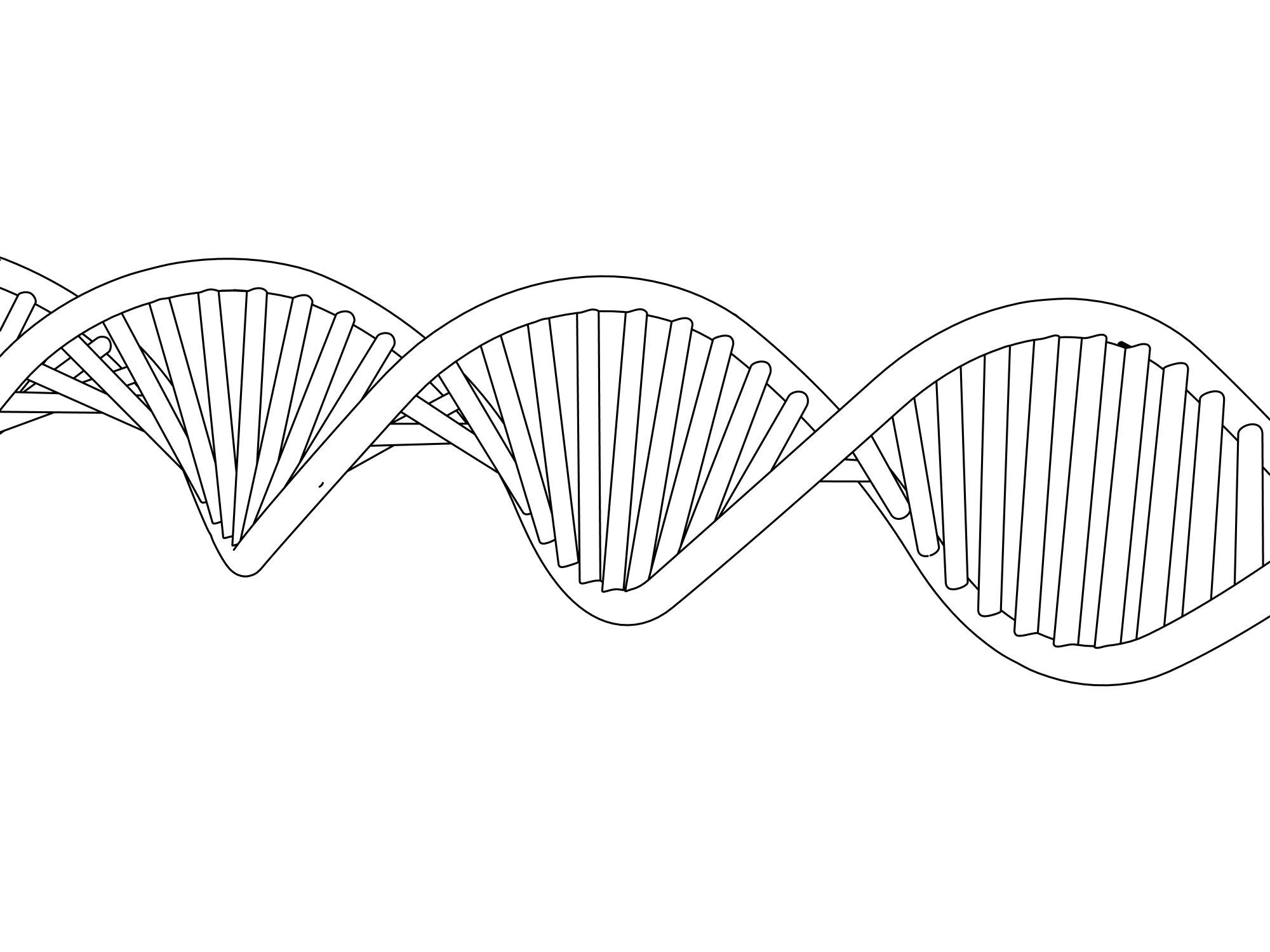 ДНК раскраска