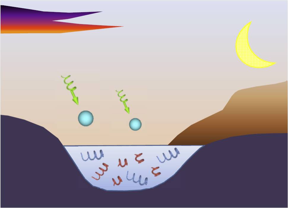 970x700 Finding Supports Model On Cause Of Dna's Right Handed Double Helix - Dna Helix Drawing