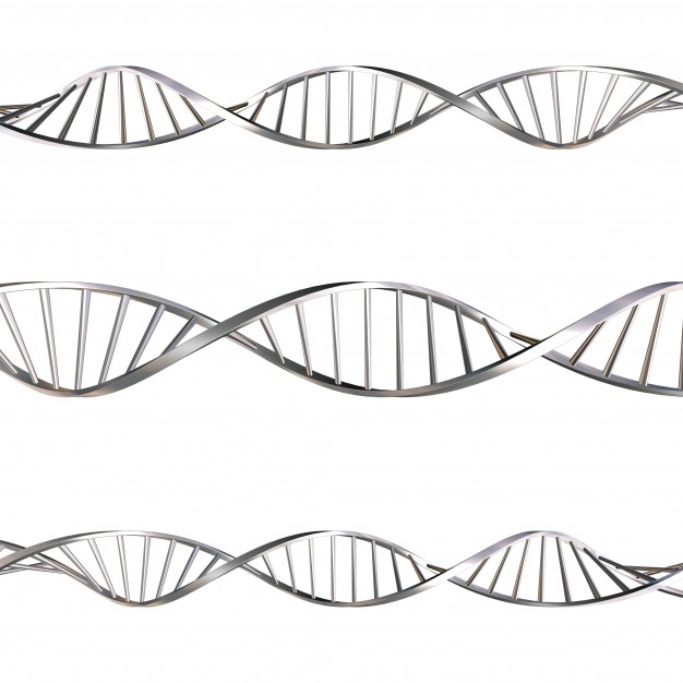 626x626 Helix Vectors, Photos And Free Download - Dna Helix Drawing