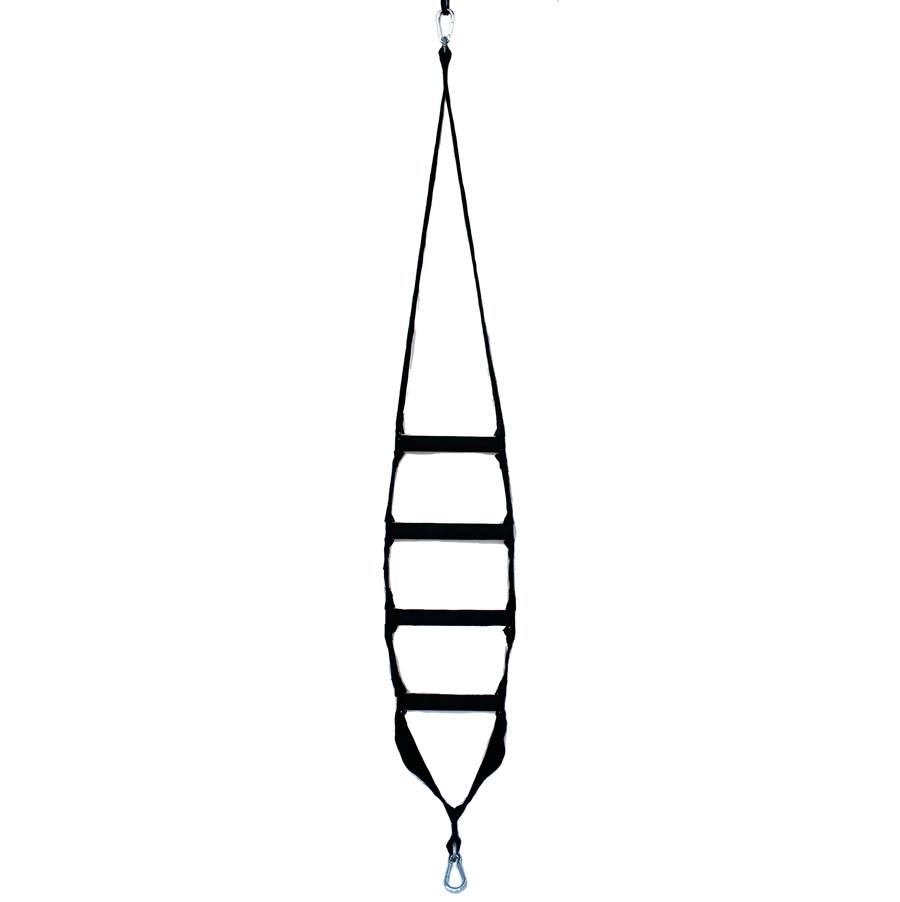 900x902 Dna Hanging Ladder Yoga Swings, Trapeze Stands Since - Dna Ladder Drawing