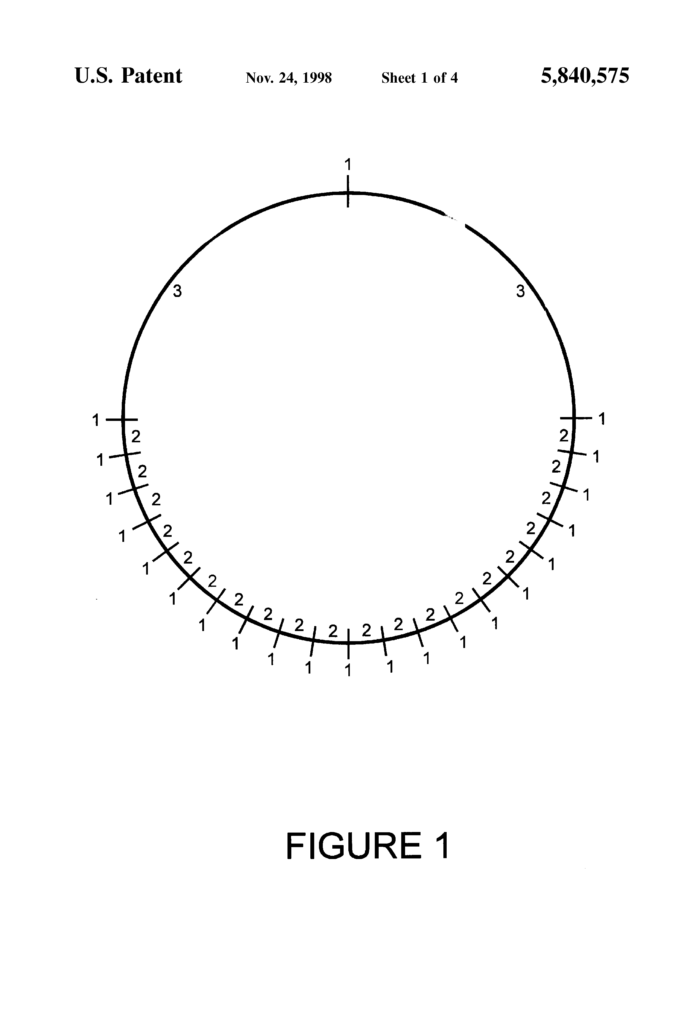 2320x3408 Patent - Dna Ladder Drawing