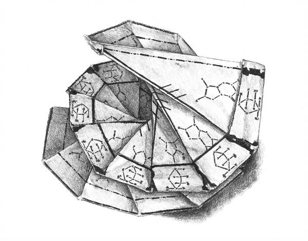 600x471 Dna Model - Dna Model Drawing