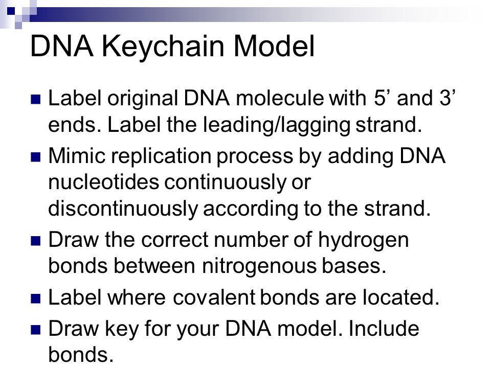 960x720 dna model drawing awesome screen dna model on the app store - Dna Model Drawing