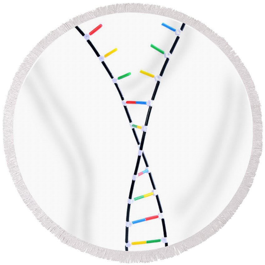 850x850 Double Helix Dna Model Round Beach Towel For Sale - Dna Model Drawing