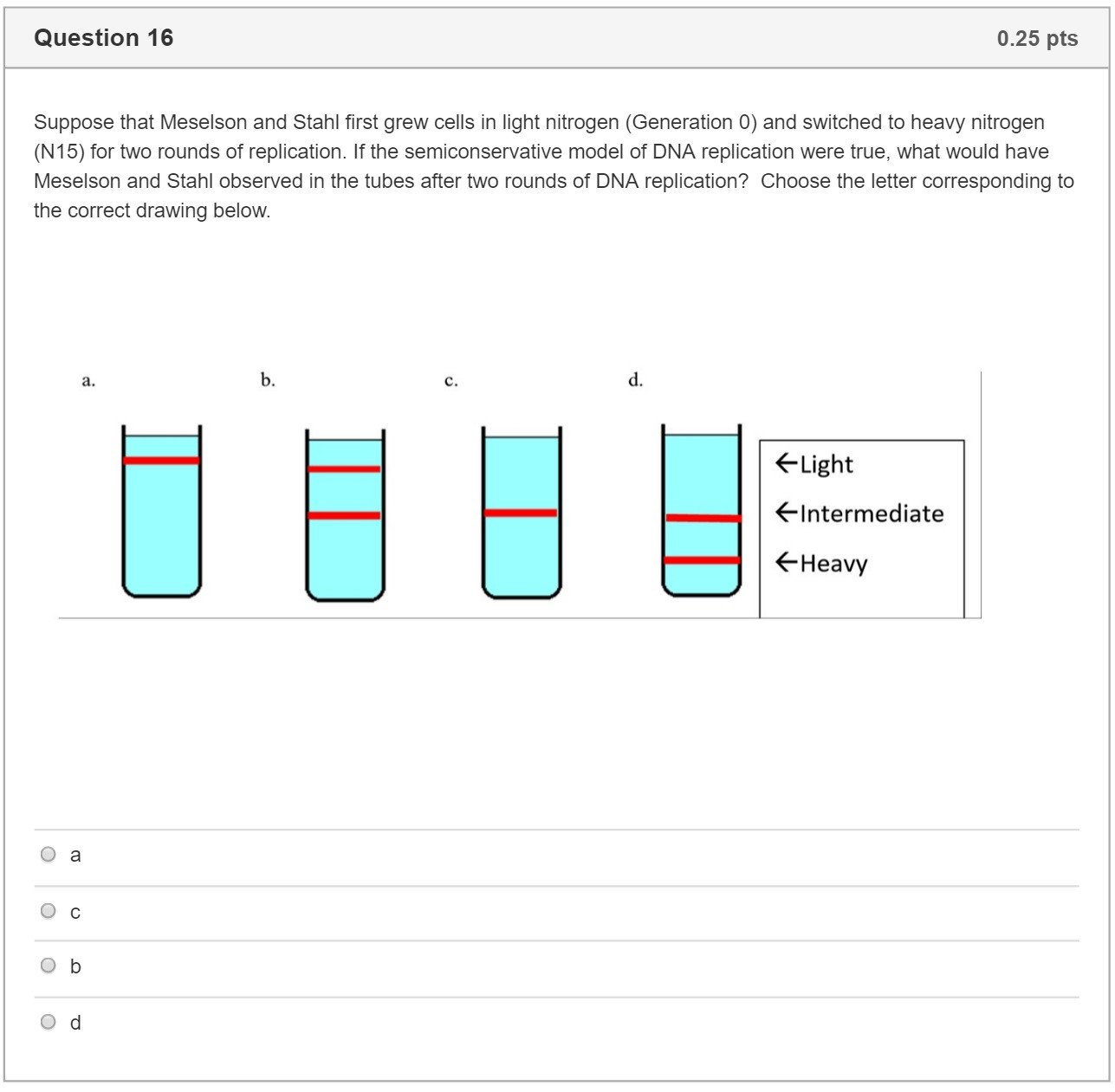 1287x1261 Draw A Sketch Of Your Completed Dna Model Awesome Solved - Dna Model Drawing
