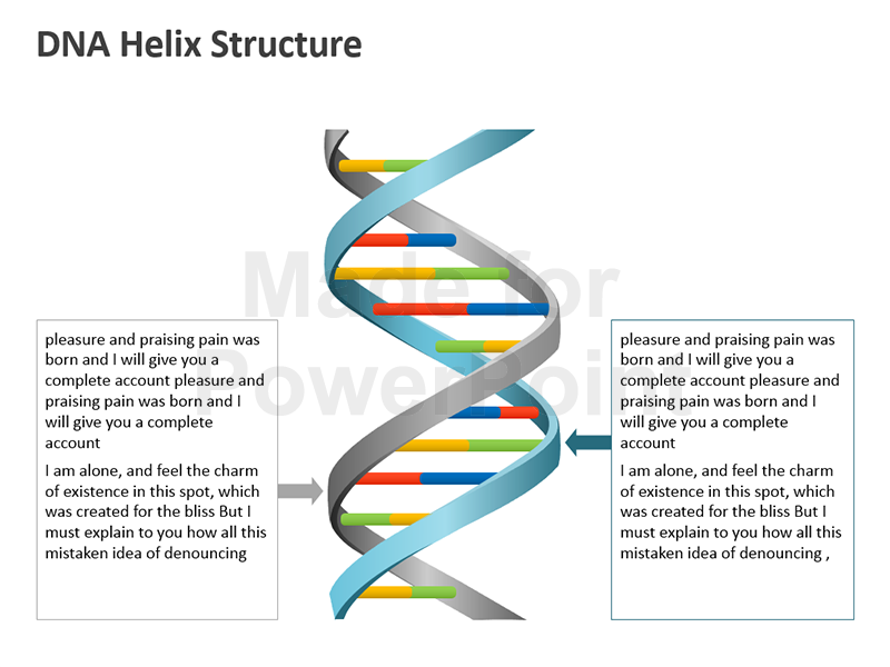 800x600 Dna Helix Diagram Wiring Diagram - Dna Molecule Drawing