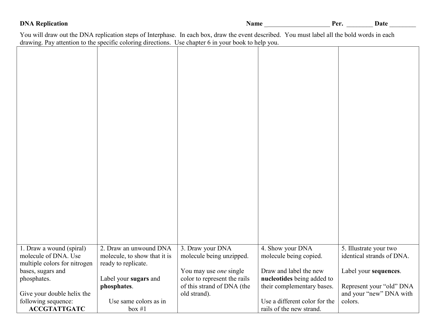 1651x1275 Dna Replication Worksheet - Dna Replication Drawing