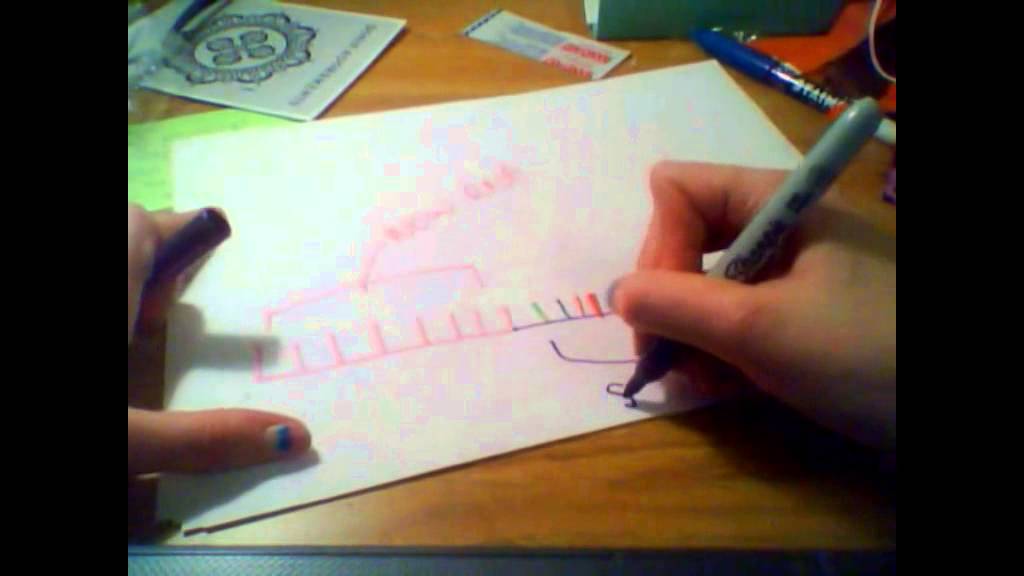 1024x576 Dna Replication A Drawing - Dna Replication Drawing