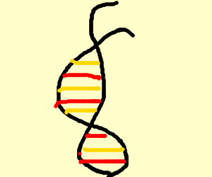 300x250 Dna Strand Drawing - Dna Strand Drawing