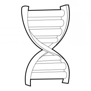 300x300 Dna Strand Icon Isometric D Style Vector Soidergi - Dna Strand Drawing