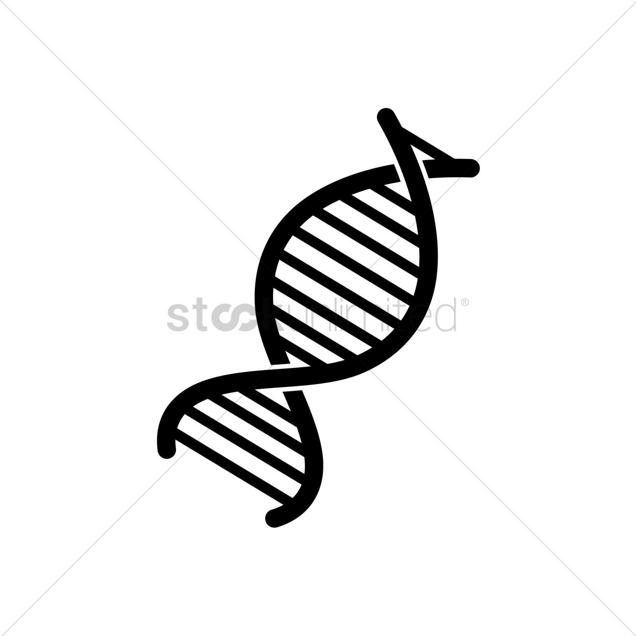 1300x1300 Dna Strand Vector Image - Dna Strand Drawing