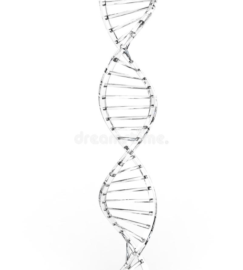 800x890 Dna Strand No Background Background Download - Dna Strand Drawing
