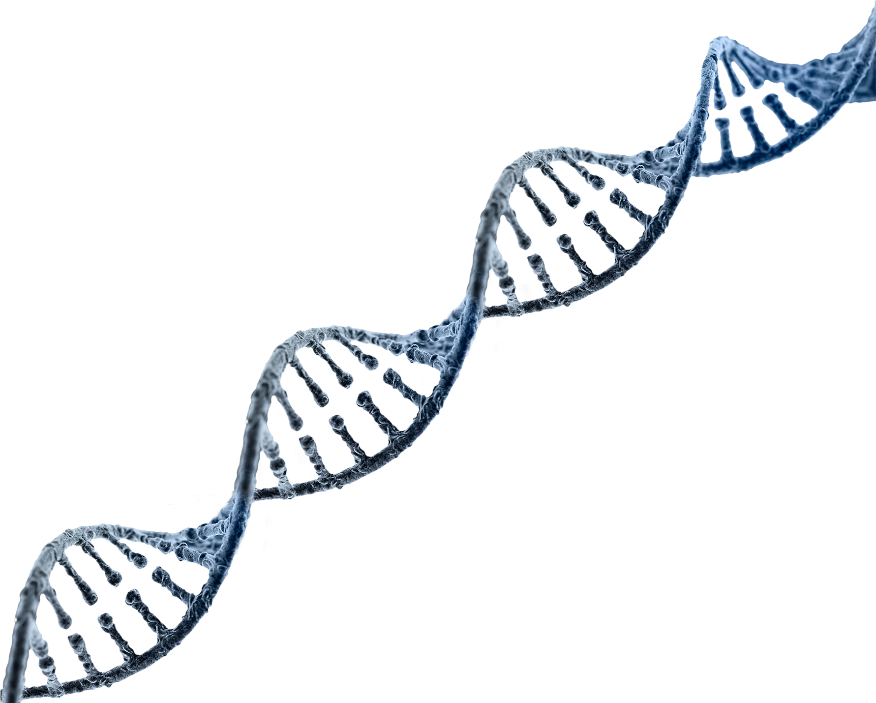 Dna Strand Drawing At Explore Collection Of Dna