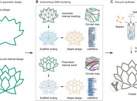 270x200 mit creates program which translates drawing into dna structure - Dna Structure Drawing