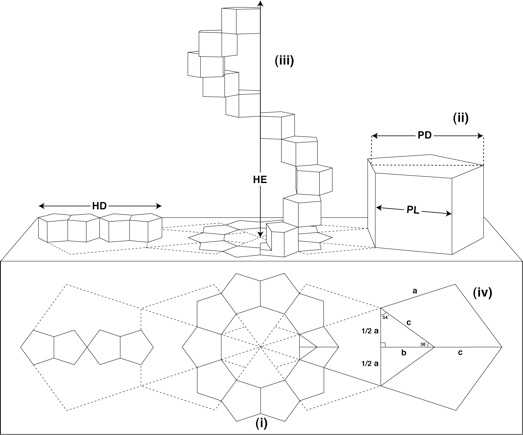 523x435 the geometry of dna a structural revision mark e curtis email - Dna Structure Drawing