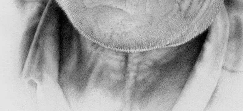 800x368 common mistakes when drawing a portrait and how to avoid them! - Do Drawing