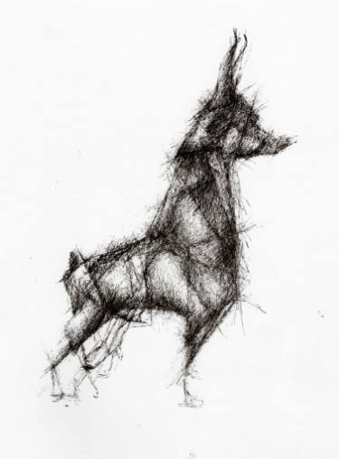 375x508 origami doberman drawing - Doberman Drawing