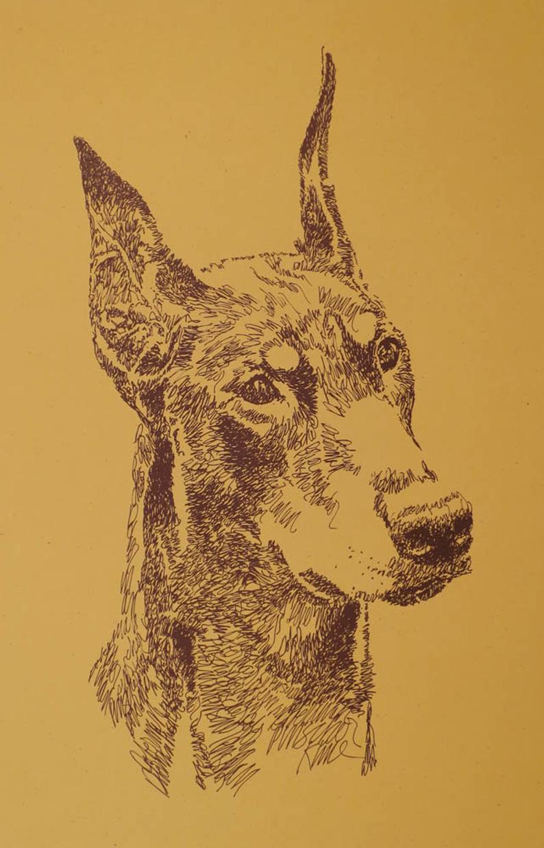 794x1237 doberman pinscher dog art portrait drawing from words your etsy - Doberman Pinscher Drawing