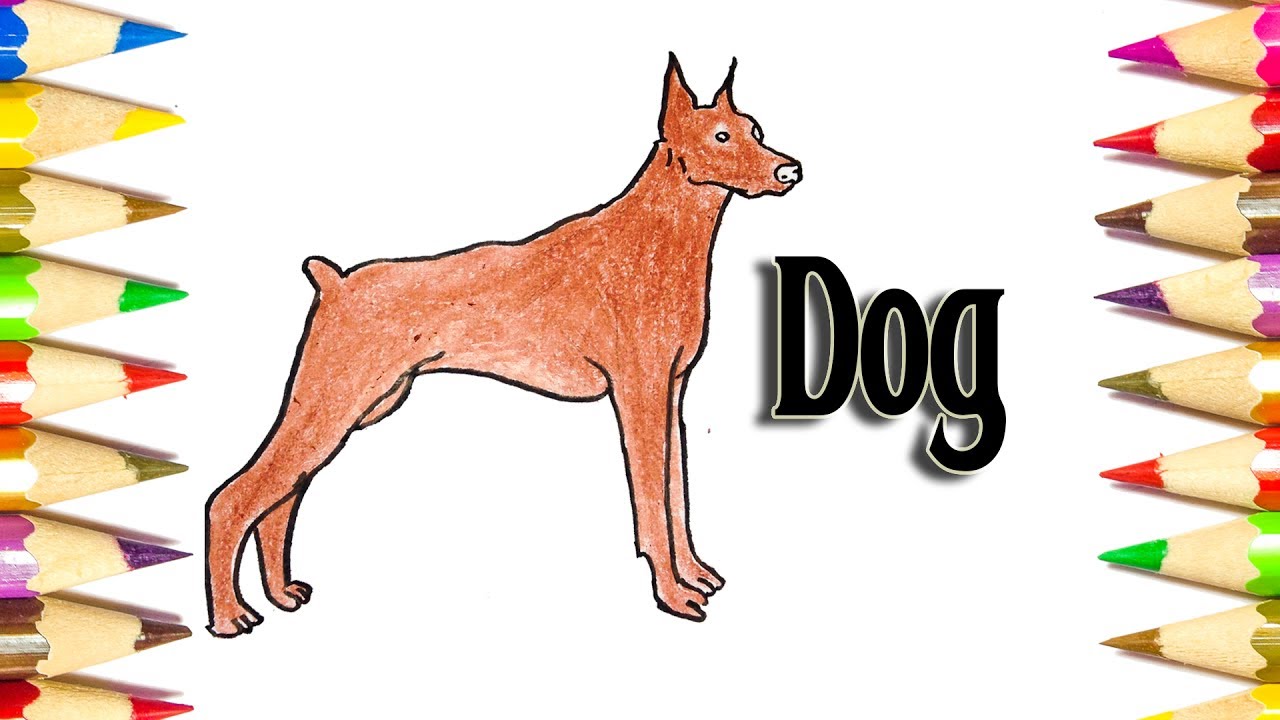 1280x720 how to draw a doberman pinscher - Doberman Pinscher Drawing