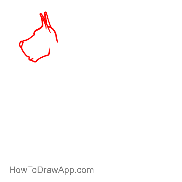 600x600 how to draw a doberman pinscher easy drawing lesons for beginners - Doberman Pinscher Drawing