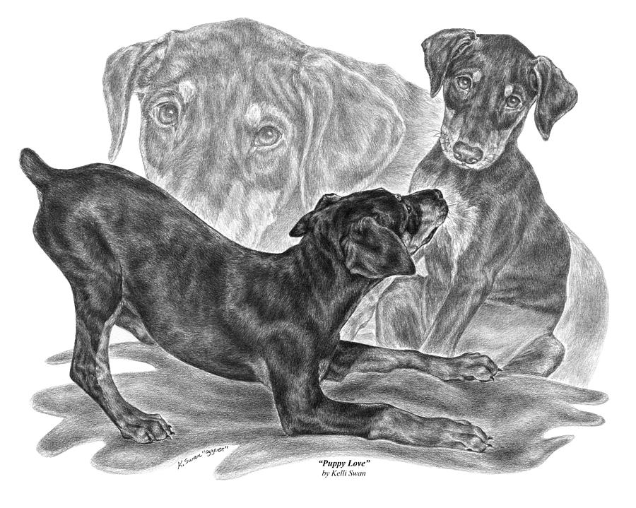 900x719 puppy love - Doberman Pinscher Drawing