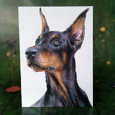 400x400 aceo atc original colored pencils drawing not a print, dog - Doberman Pinscher Drawing