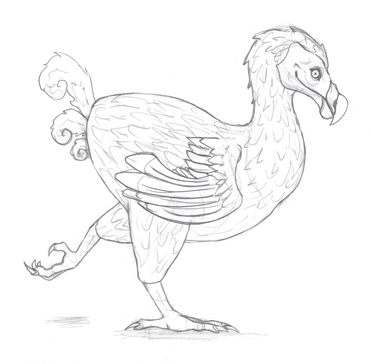 Dodo Bird Drawing. 