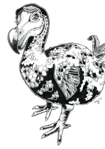 424x600 dodo print - Dodo Drawing