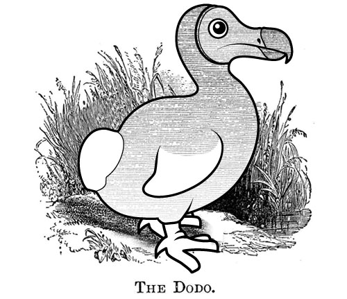500x431 dodo bird drawing - Dodo Drawing