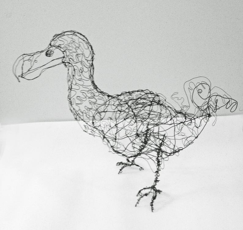 794x751 dodo bird wire drawing sculpture art etsy - Dodo Drawing