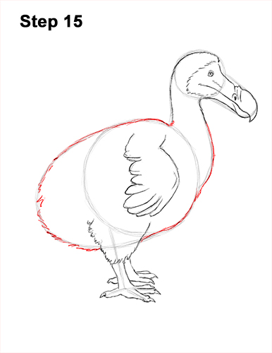 386x500 how to draw a dodo - Dodo Drawing
