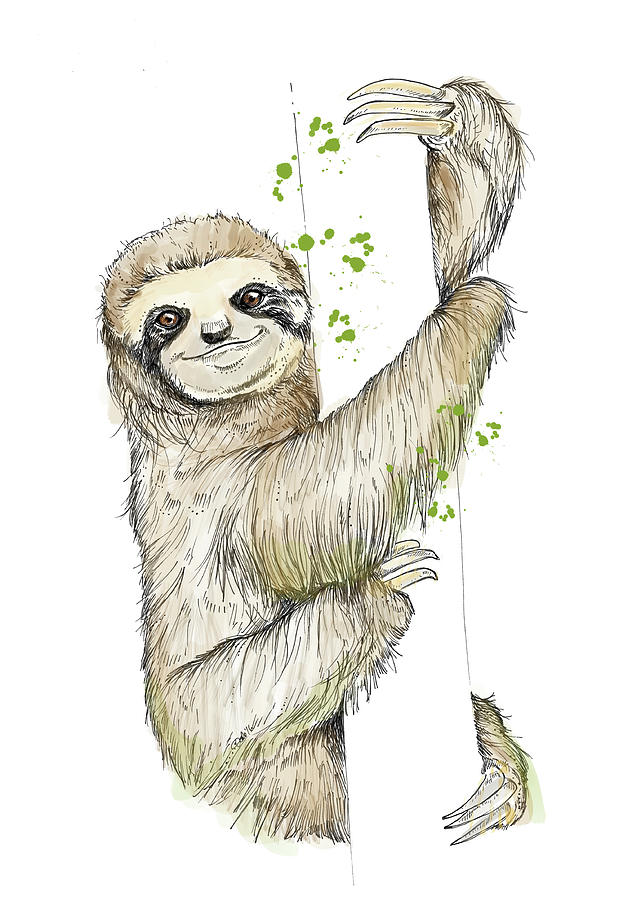 641x900 stoth drawing - Dodo Drawing