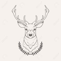 236x236 deer sketches - Doe Head Drawing