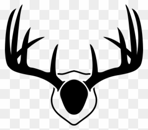 300x263 common deer - Doe Head Drawing