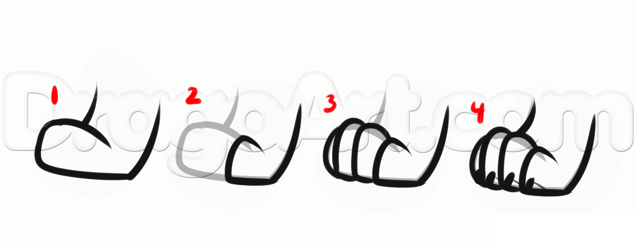 1298x506 Dog Anatomy Drawing, Step - Dog Anatomy Drawing