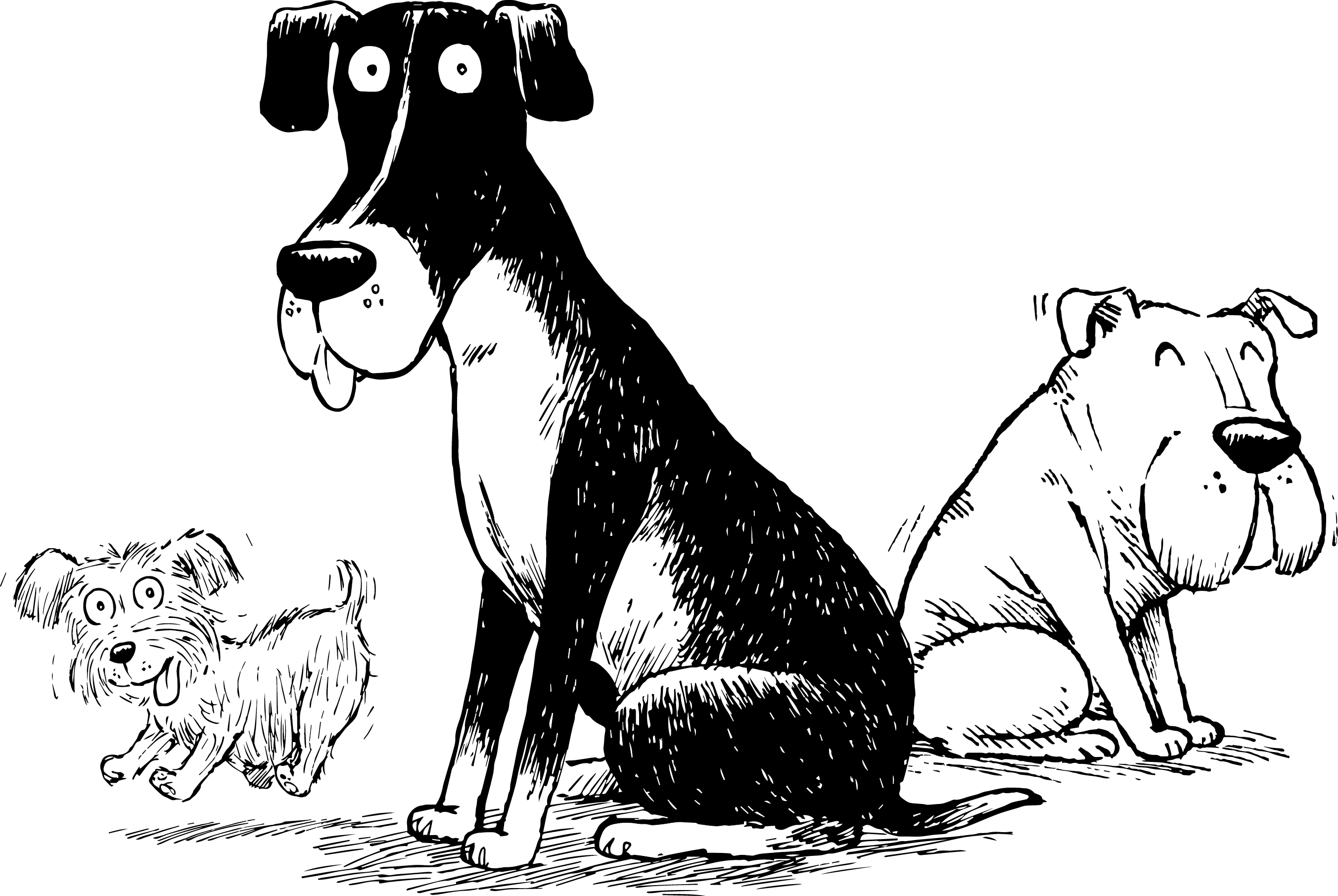 2705x1811 Dog Barking Library Library Black And White - Dog Barking Drawing