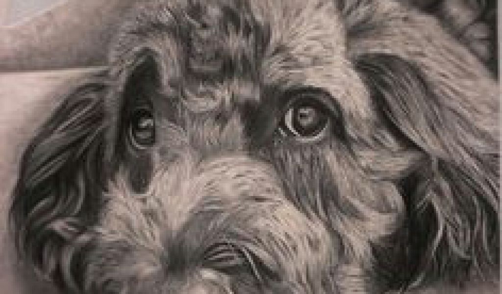 1024x600 Dogs Barking Drawing Best Dog Art Images Dog Art Drawings - Dog Barking Drawing