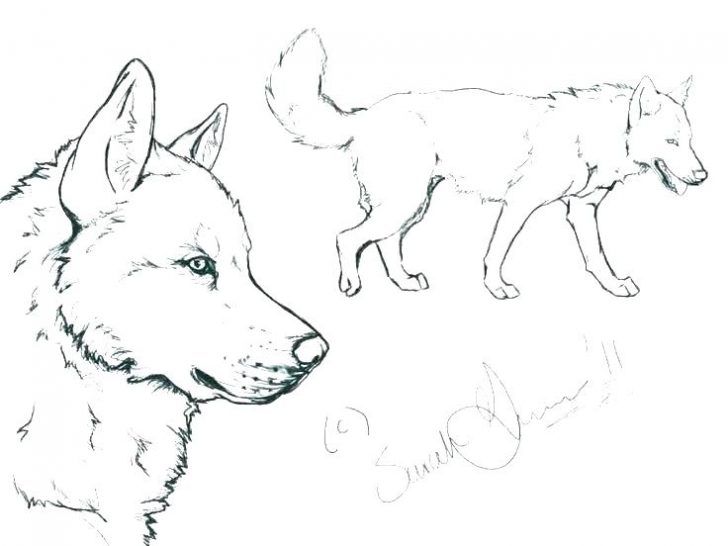 Dog Barking Drawing at PaintingValley.com | Explore collection of Dog ...