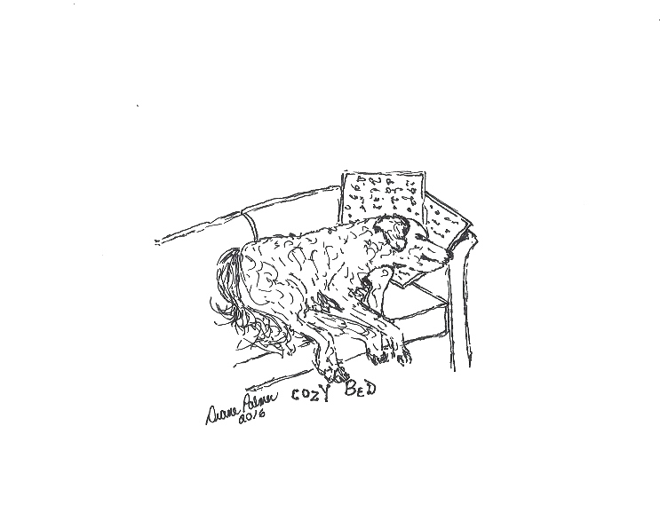 743x569 cozy dog bed - Dog Bed Drawing
