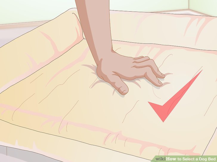 728x546 ways to select a dog bed - Dog Bed Drawing