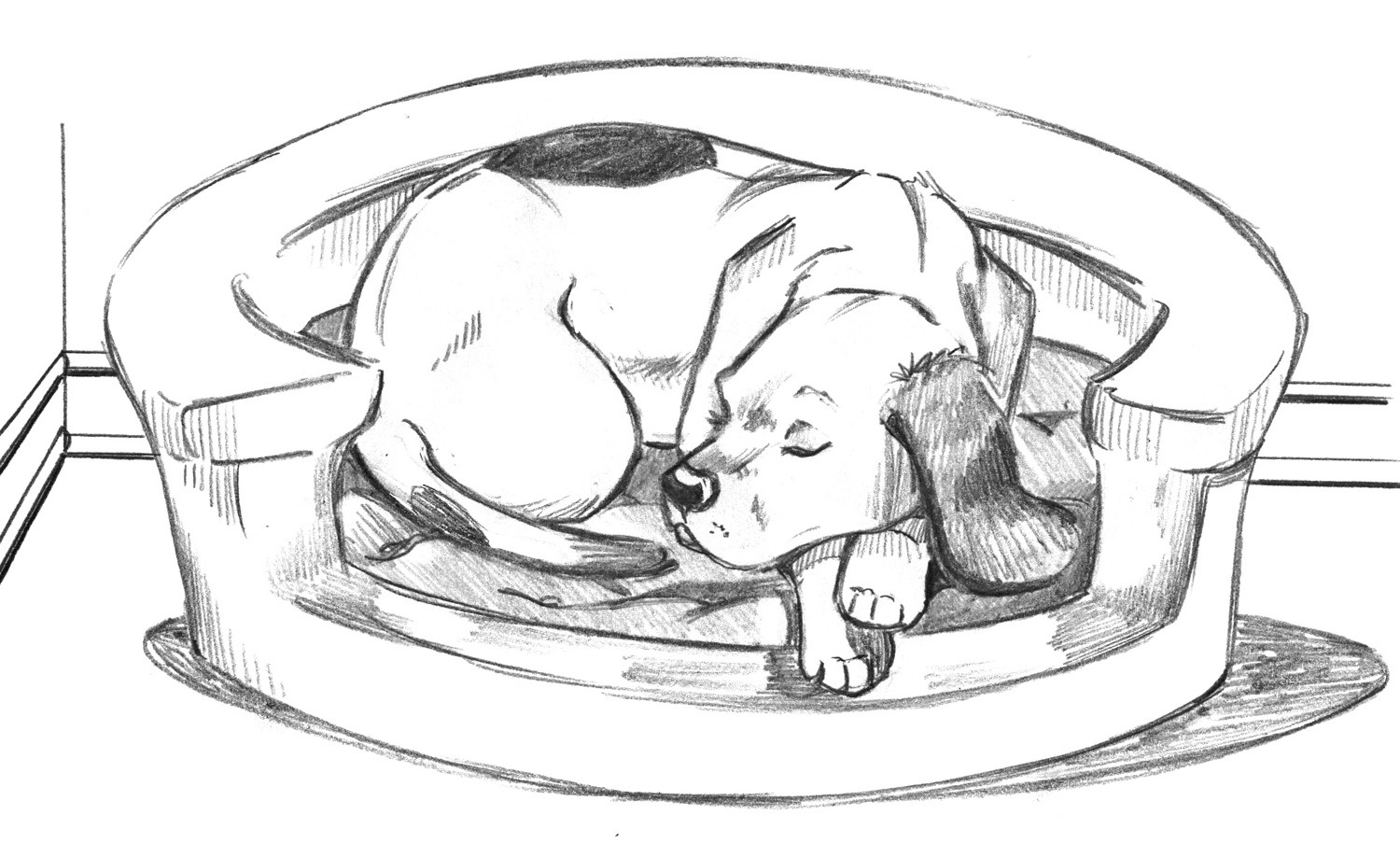 1500x918 How To Draw Comic Dog - Dog Bed Drawing