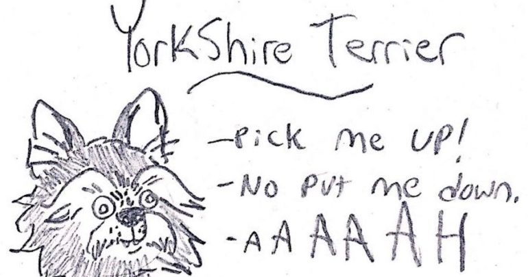 Dog Black And White Drawing