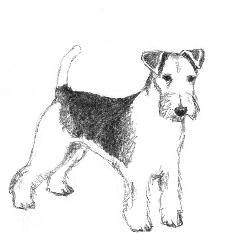 768x812 Dog Sketches - Dog Black And White Drawing