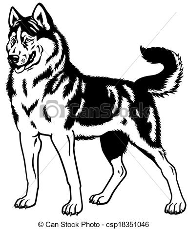 385x470 Siberian Husky Black White Sled Dog Siberian Husky Breed, Black - Dog Black And White Drawing